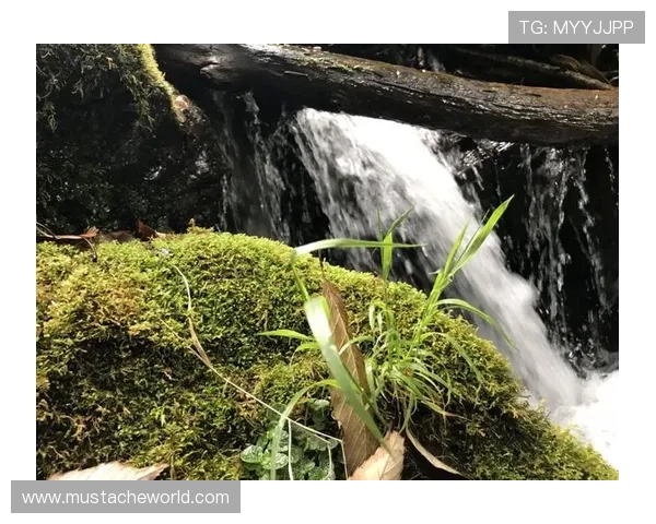 12博官网真人在线开户流程详解快速注册轻松到账