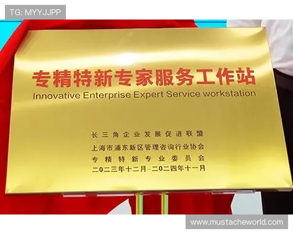 ag恒丰如何提升企业竞争力实现可持续发展的关键措施