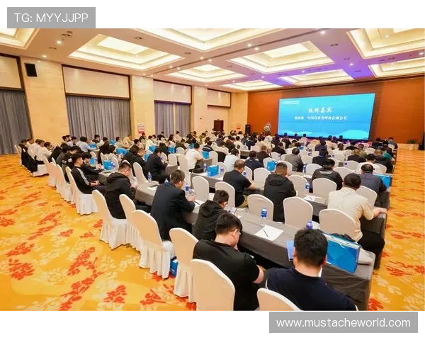 解析k8凯发的注册流程及用户权益保护