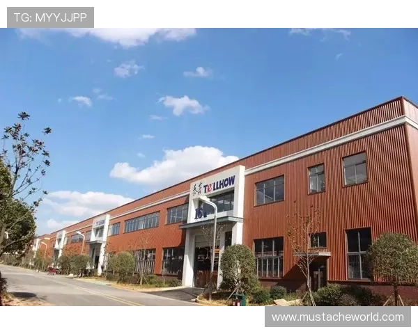 中国凯发集团有限公司在科技创新方面的最新突破与行业影响力探讨