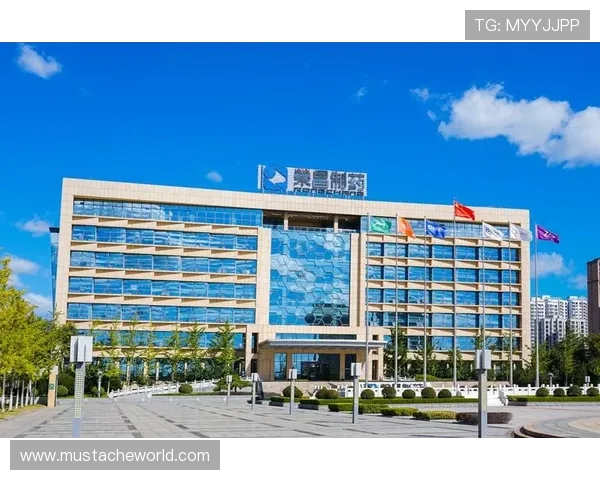 K8.com凯发旗舰厅的安全保障措施详解，保障玩家个人信息与资金安全的全面措施