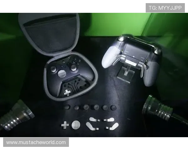 凯发体育官网平台下载安装后如何进行账号安全设置与游戏体验优化指南