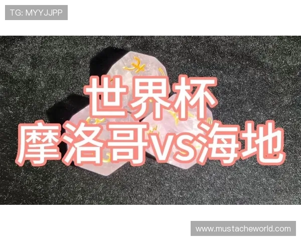 世界杯海地VS摩洛哥赛后采访聚焦球队战术调整与比赛中的关键表现
